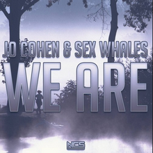 Jo Cohen &  Whales - We Are