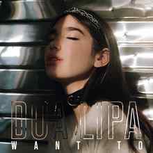 Dua Lipa - Want To