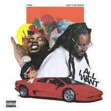 T-Pain feat. Flipp Dinero - All I Want