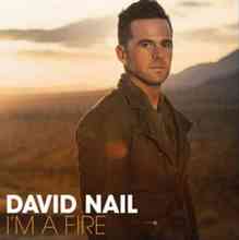 David Nail & Lee Ann Womack - Galveston