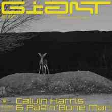 Calvin Harris & Rag'n'Bone Man - Giant