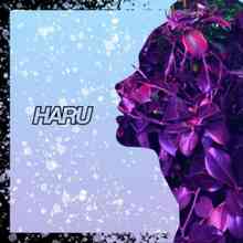 HARU - Go Luv