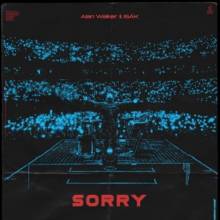 Alan Walker & ISAK - Sorry